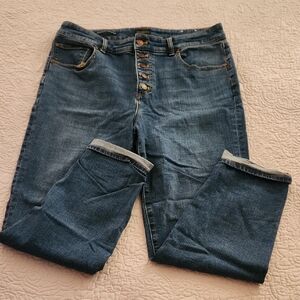 Talbots Blue Boyfriend Jeans